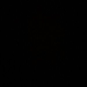 Meet your Posher, Selena